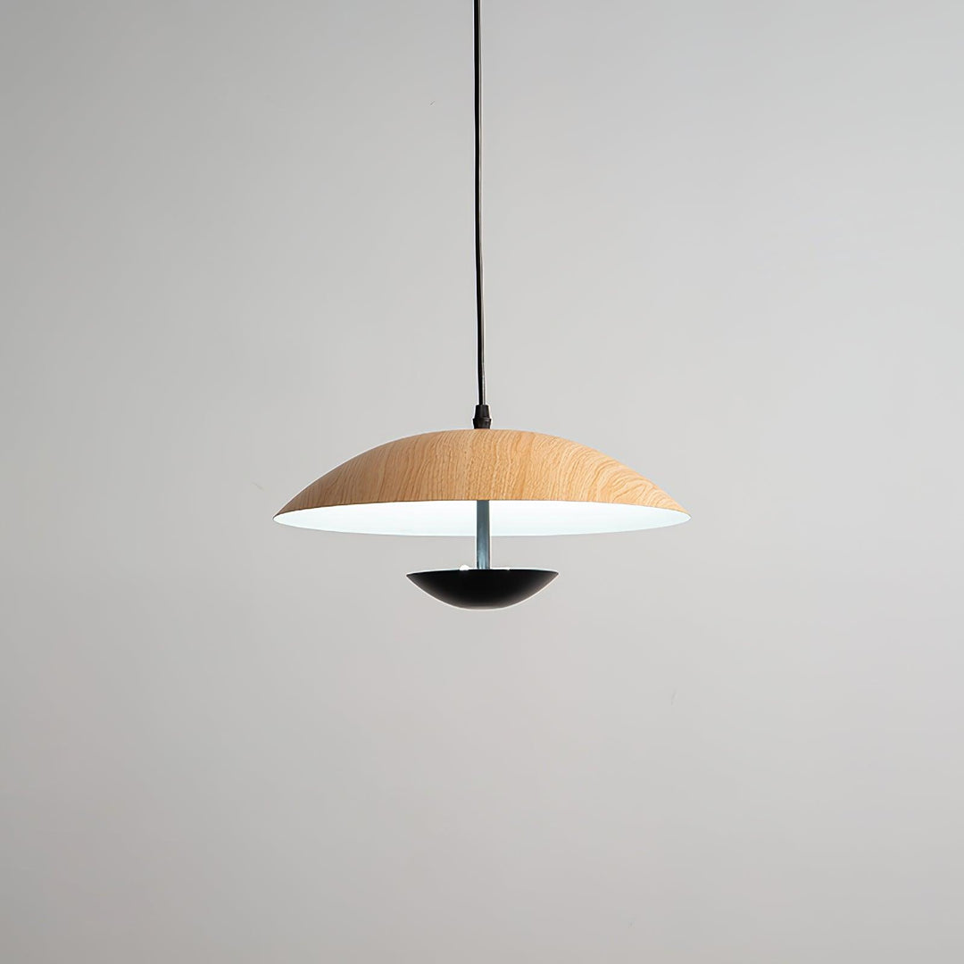Frisbee Hängande Lampa