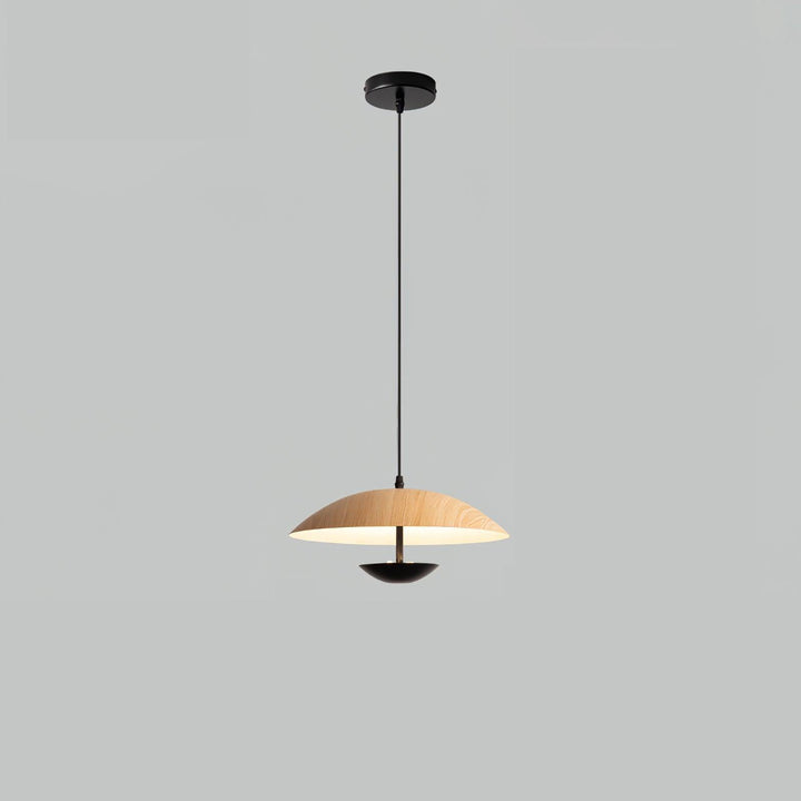 Frisbee Hängande Lampa