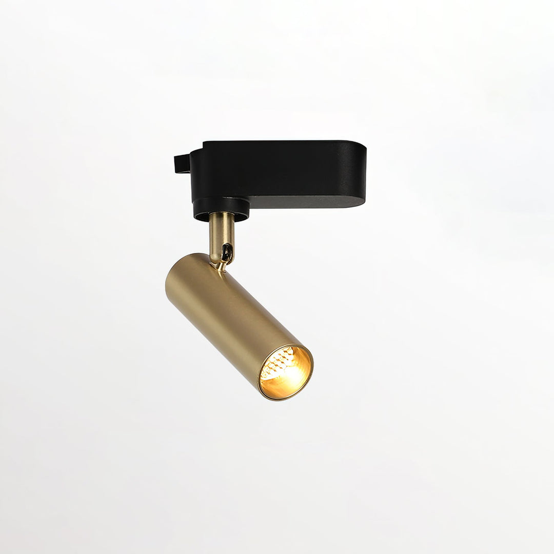 Guldad Railskena Lampa