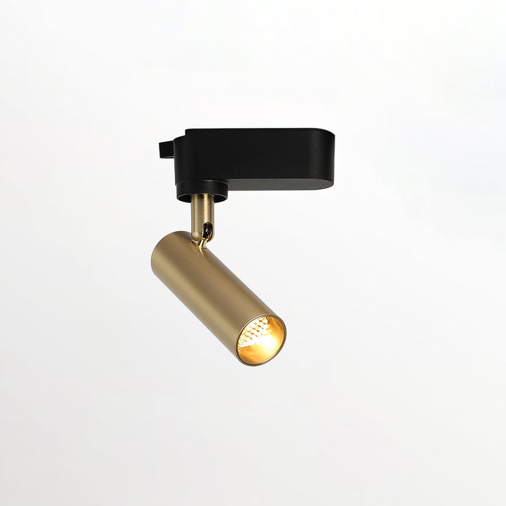 Guldad Railskena Lampa