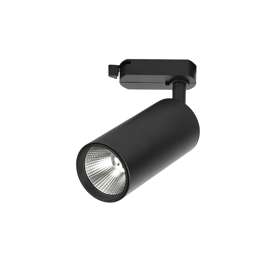 Guldad Railskena Lampa