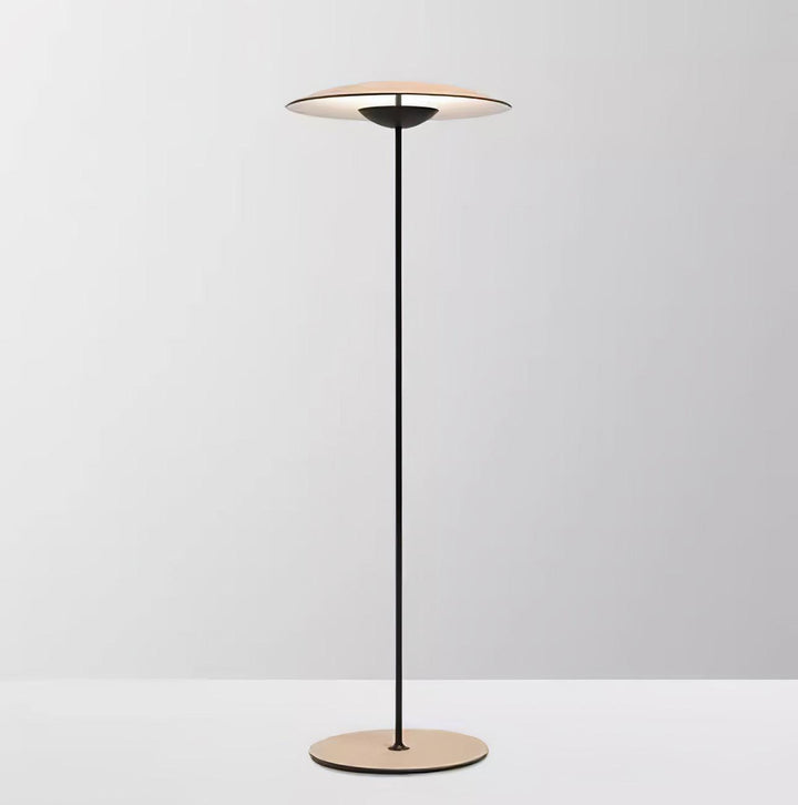 Innovativ riktad golvlampa
