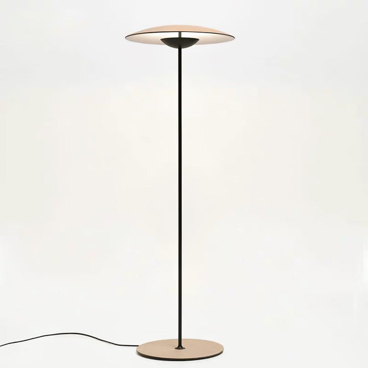 Innovativ riktad golvlampa