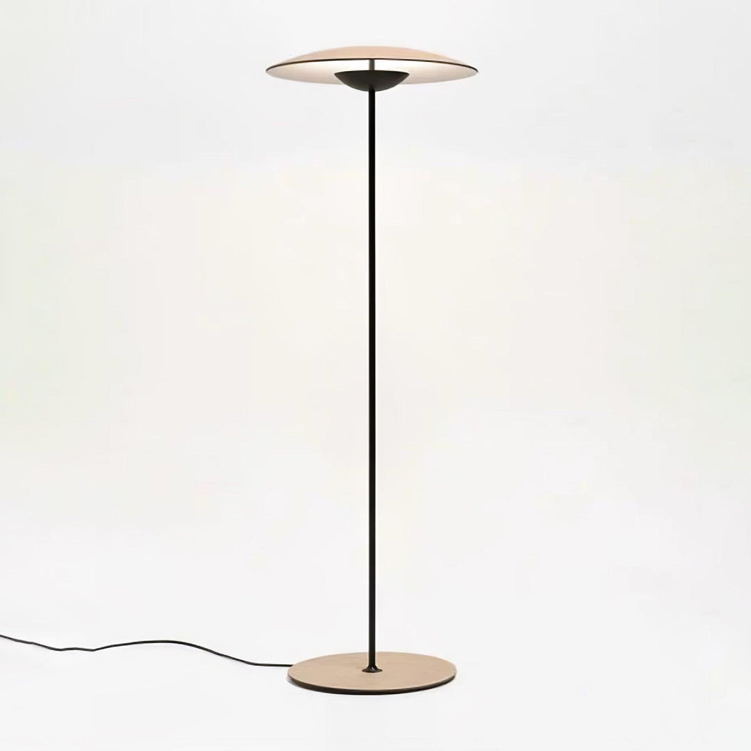 Innovativ riktad golvlampa