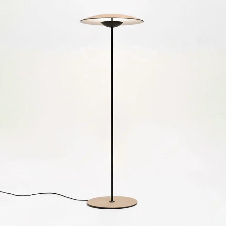 Innovativ riktad golvlampa
