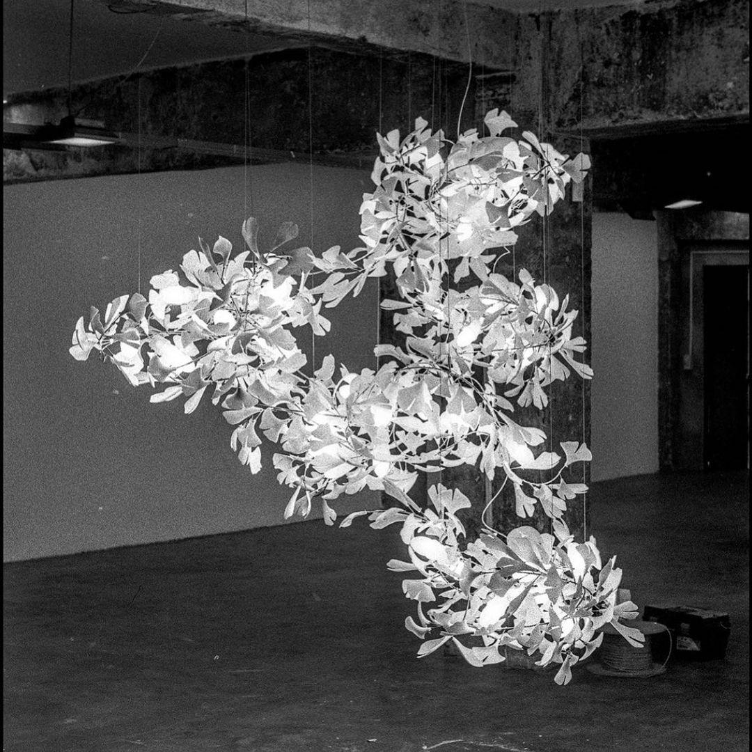 Gingko Vortex Krona