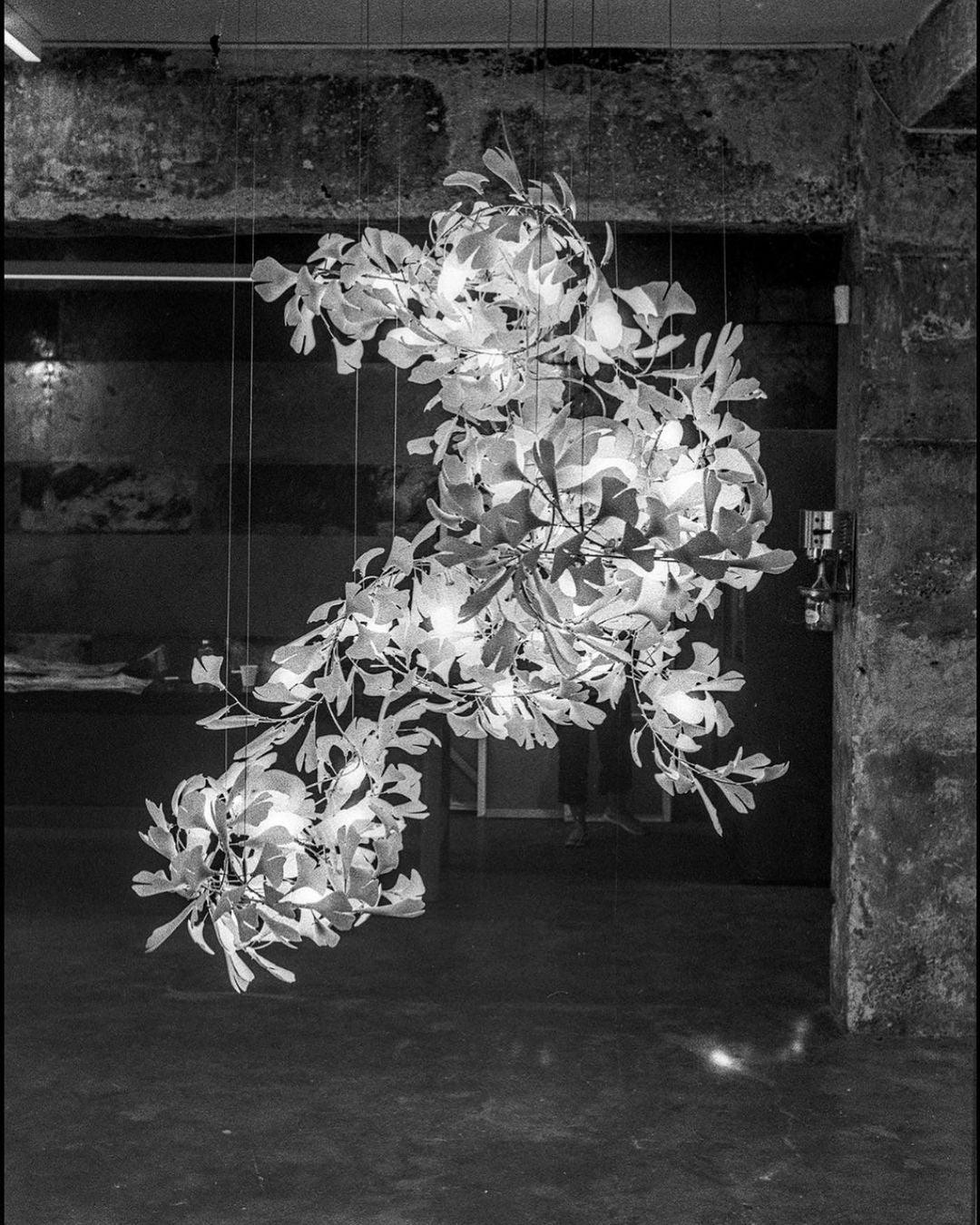 Gingko Vortex Krona