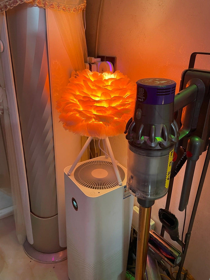 Gåsfjäder Bordslampa