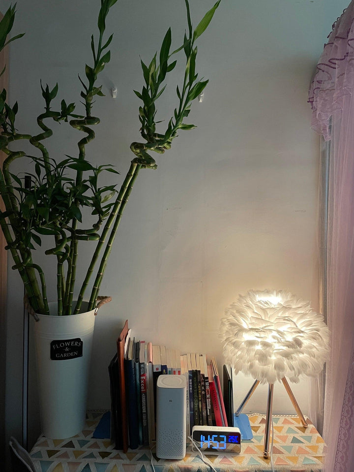 Gåsfjäder Bordslampa