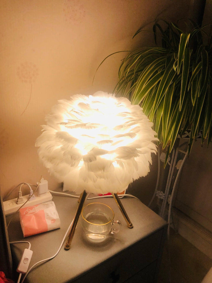 Gåsfjäder Bordslampa