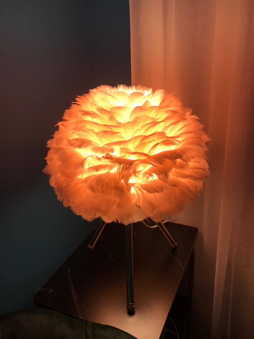Gåsfjäder Bordslampa