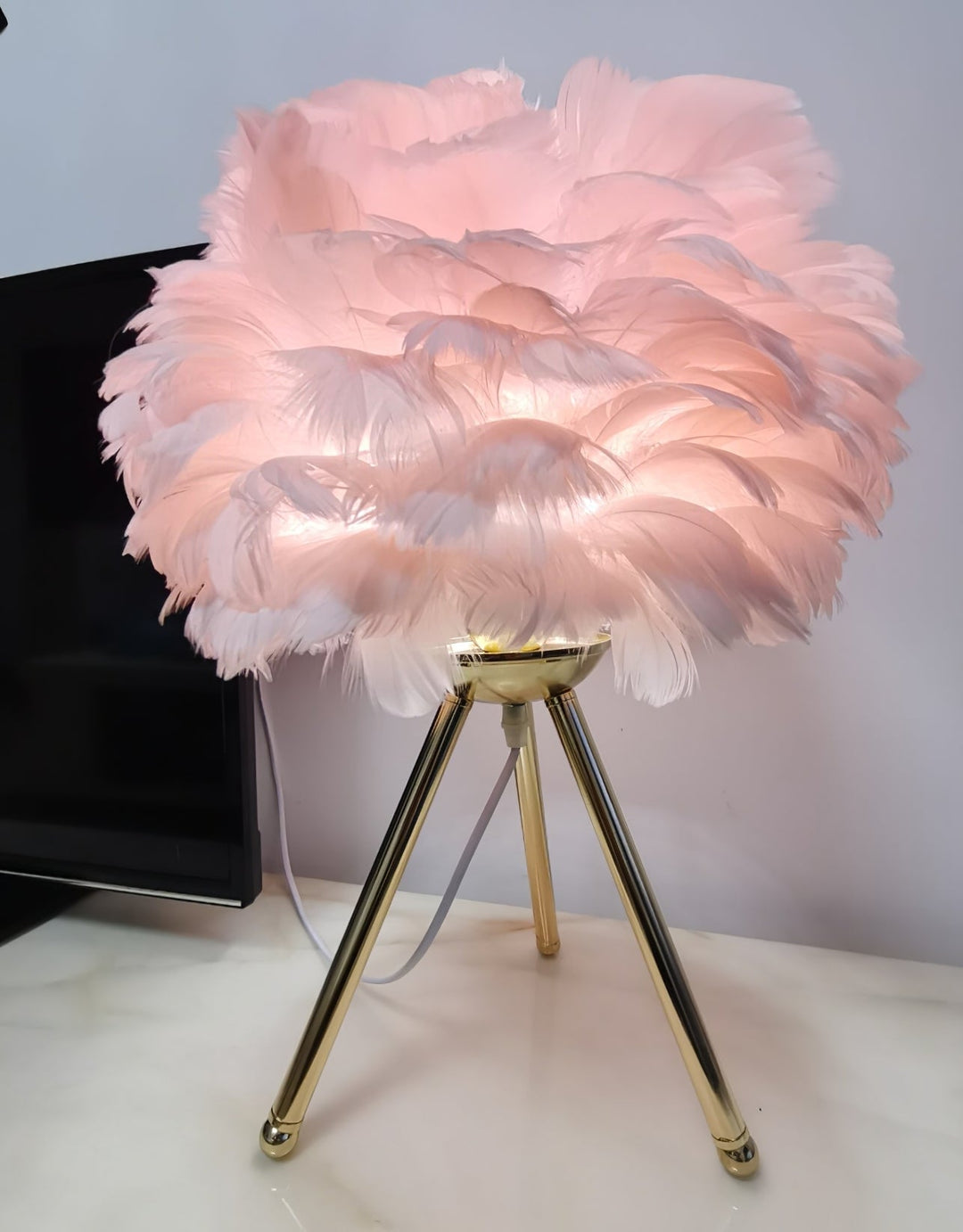 Gåsfjäder Bordslampa