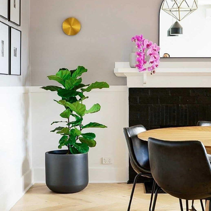 Gossa Vägglampa