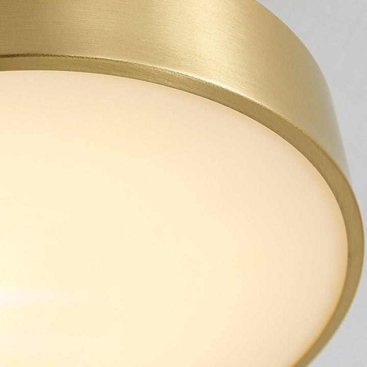 Hero Rotating Ceiling Lamp