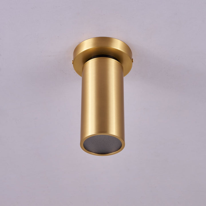 Horizon Messings Spot Light