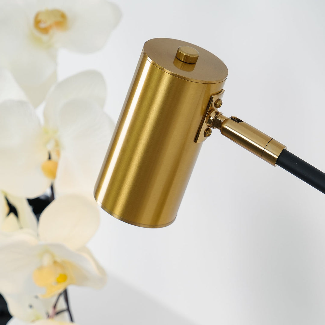 Lektor Bordslampa
