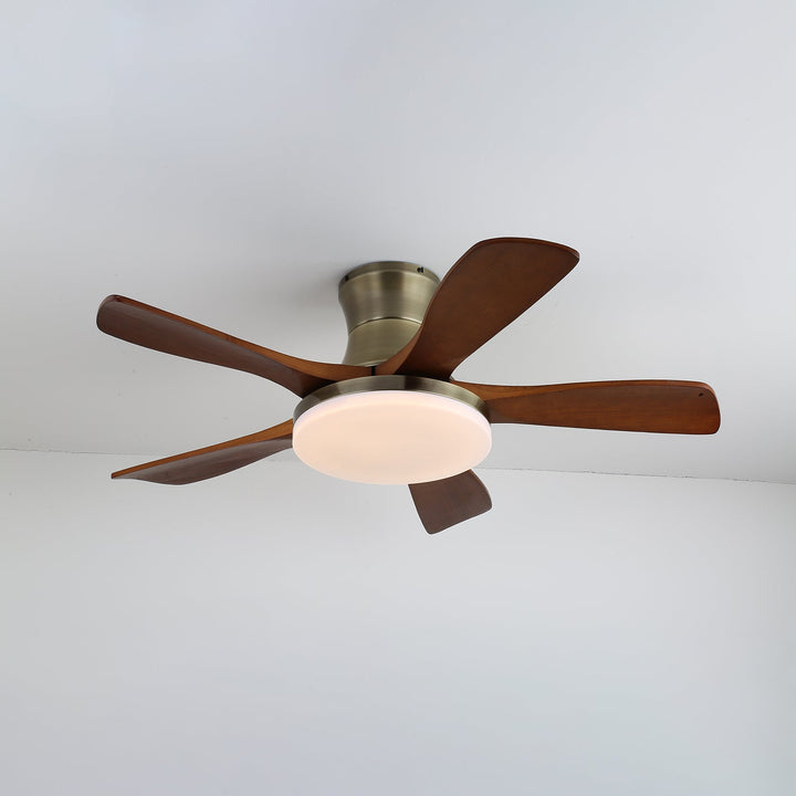 Liam Takfläktlampa