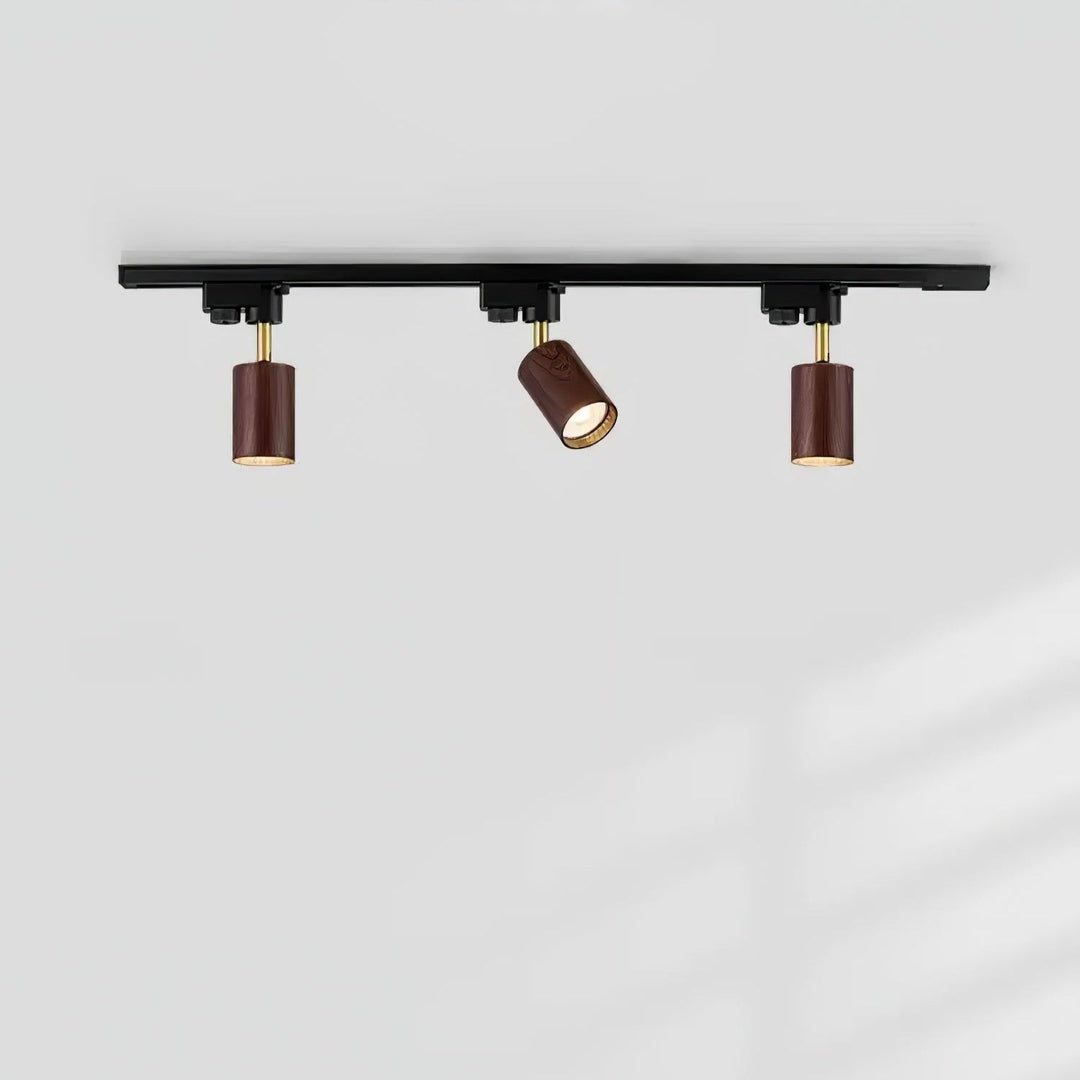 Auric Track Light