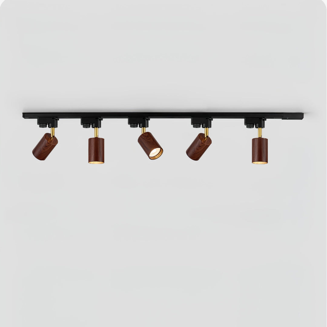 Auric Track Light