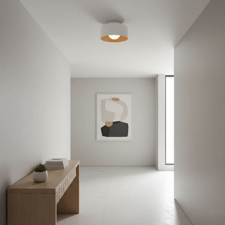 Lumosphere Taklampa