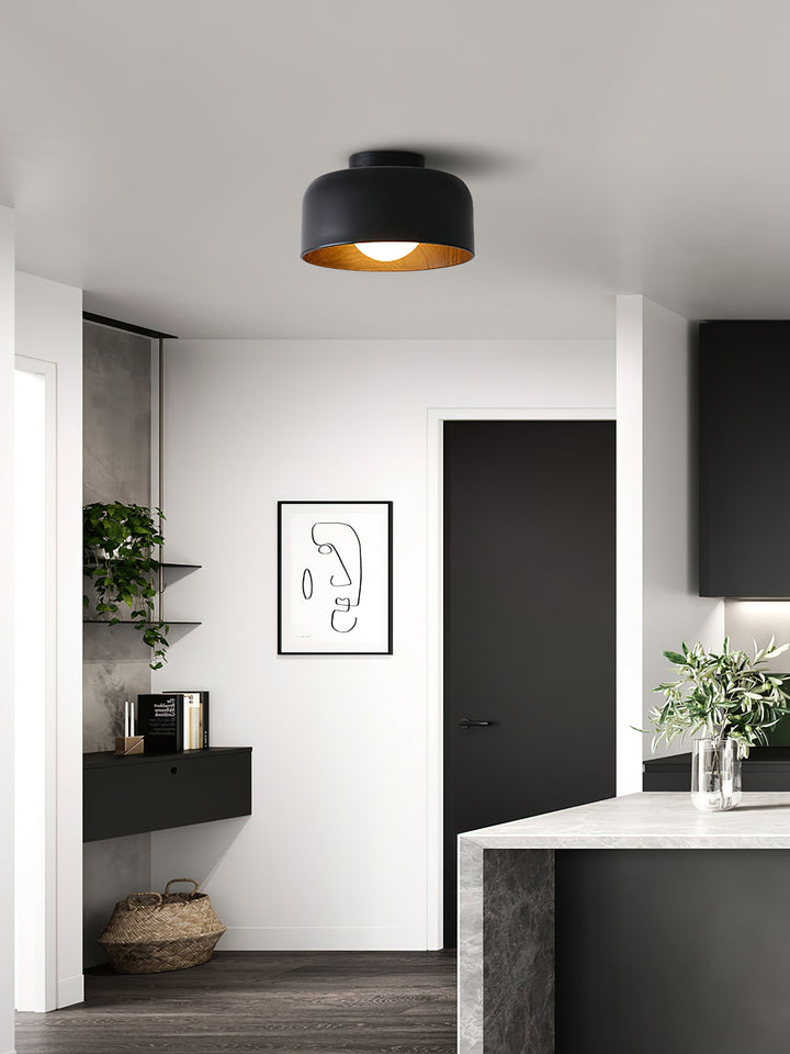 Lumosphere Taklampa