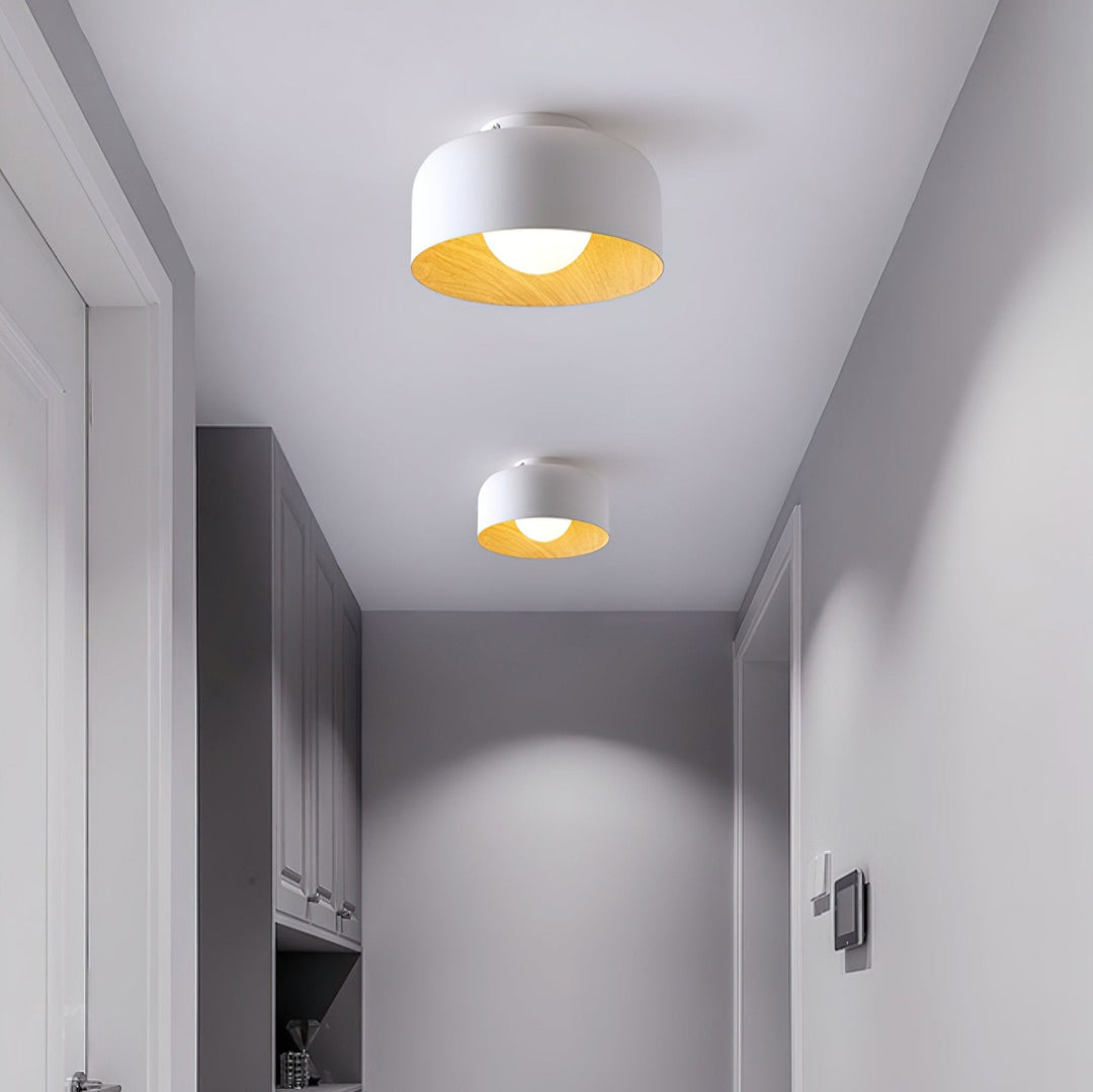 Lumosphere Taklampa