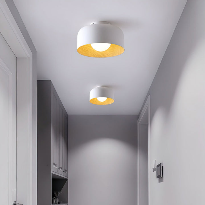 Lumosphere Taklampa
