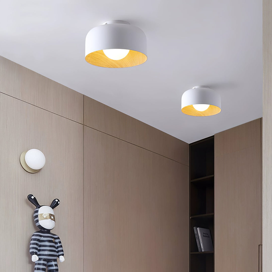 Lumosphere Taklampa