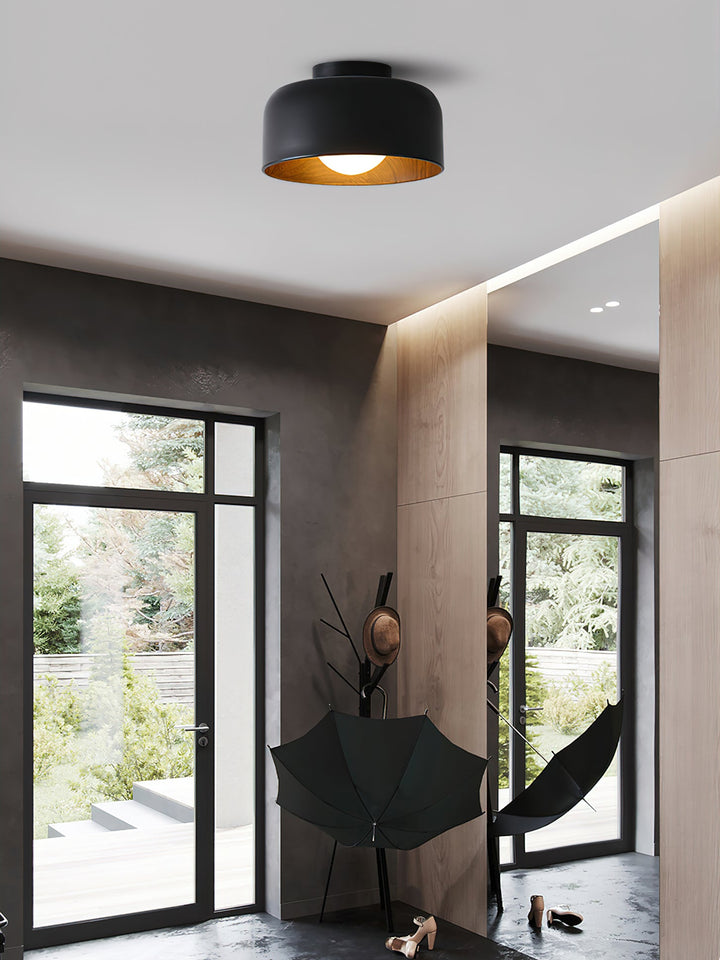 Lumosphere Taklampa