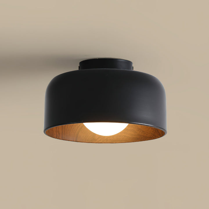 Lumosphere Taklampa
