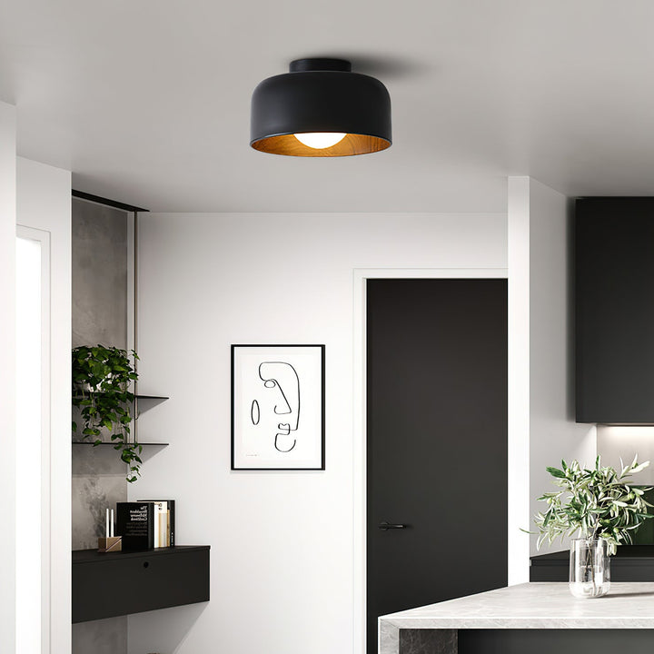 Lumosphere Taklampa