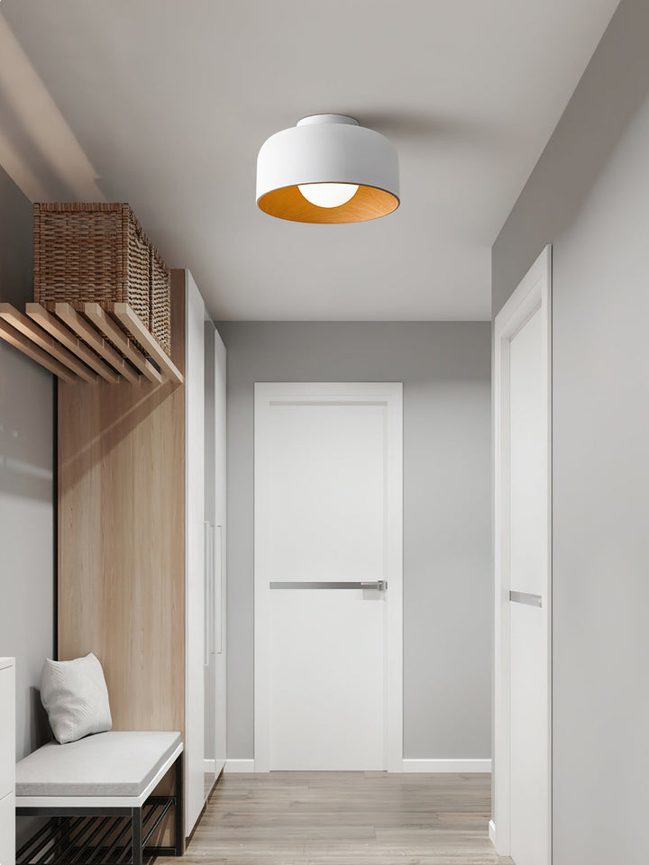 Lumosphere Taklampa