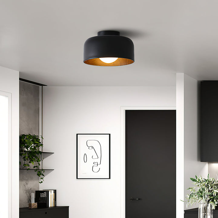 Lumosphere Taklampa