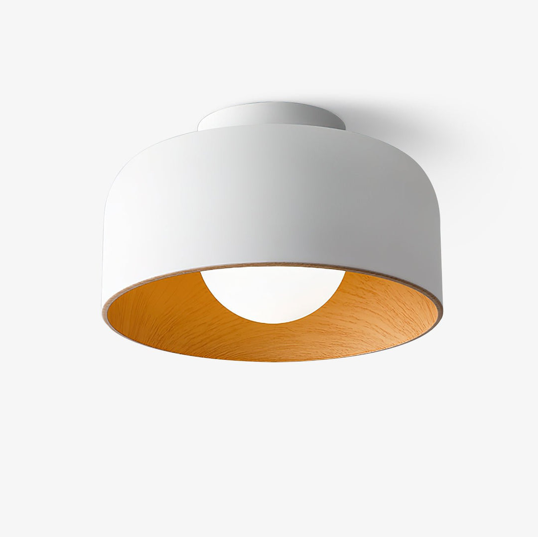 Lumosphere Taklampa