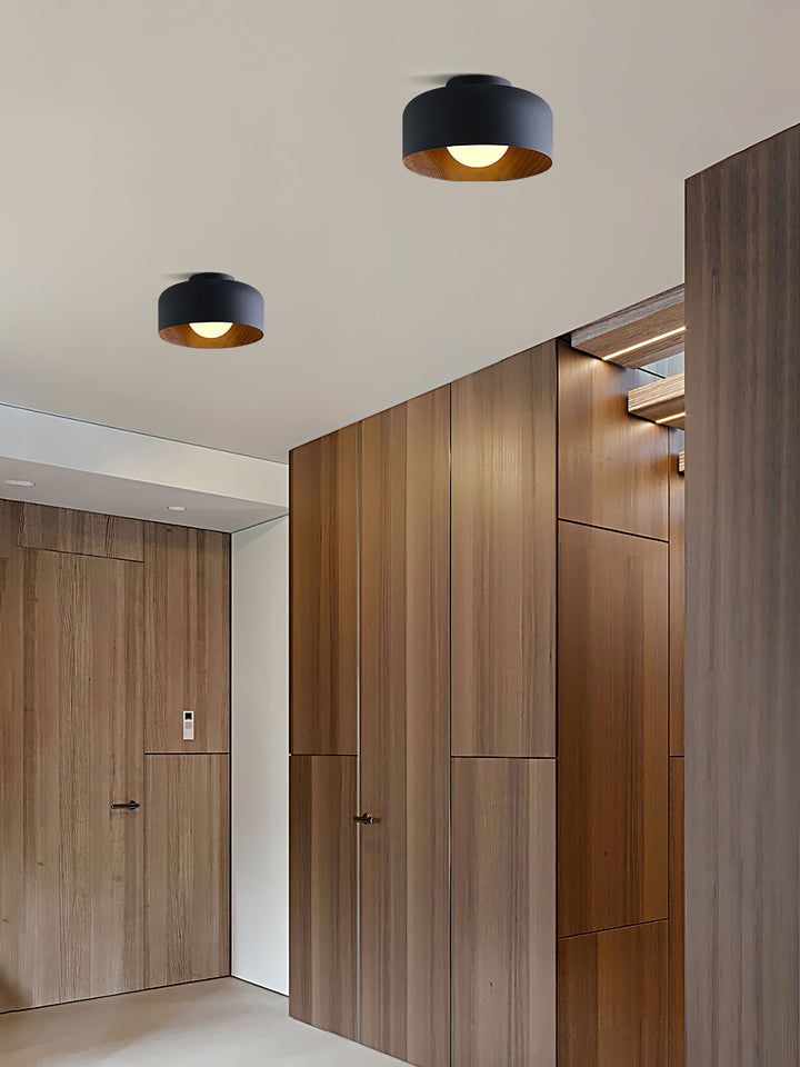 Lumosphere Taklampa