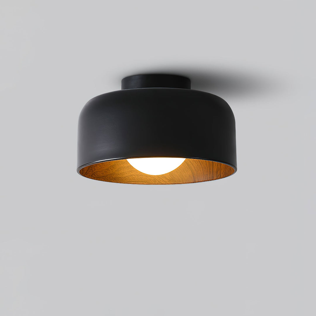 Lumosphere Taklampa