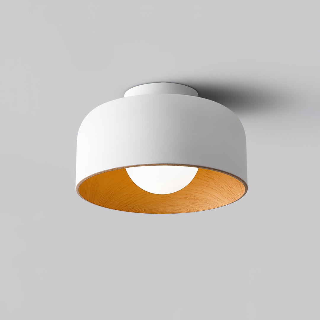 Lumosphere Taklampa