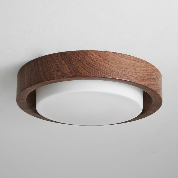 Lunar Ring Taklampa