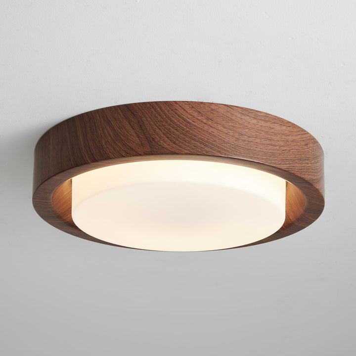 Lunar Ring Taklampa