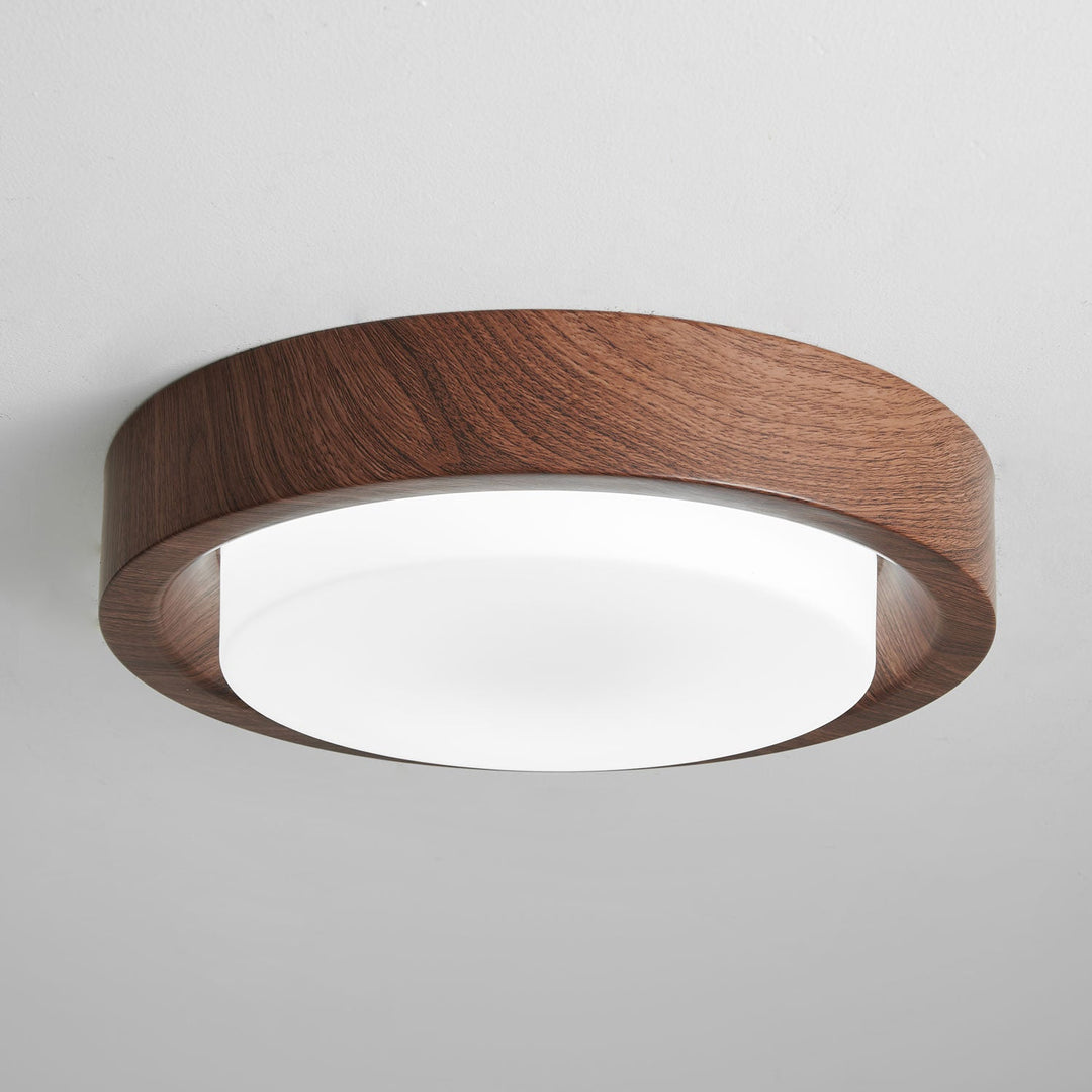 Lunar Ring Taklampa