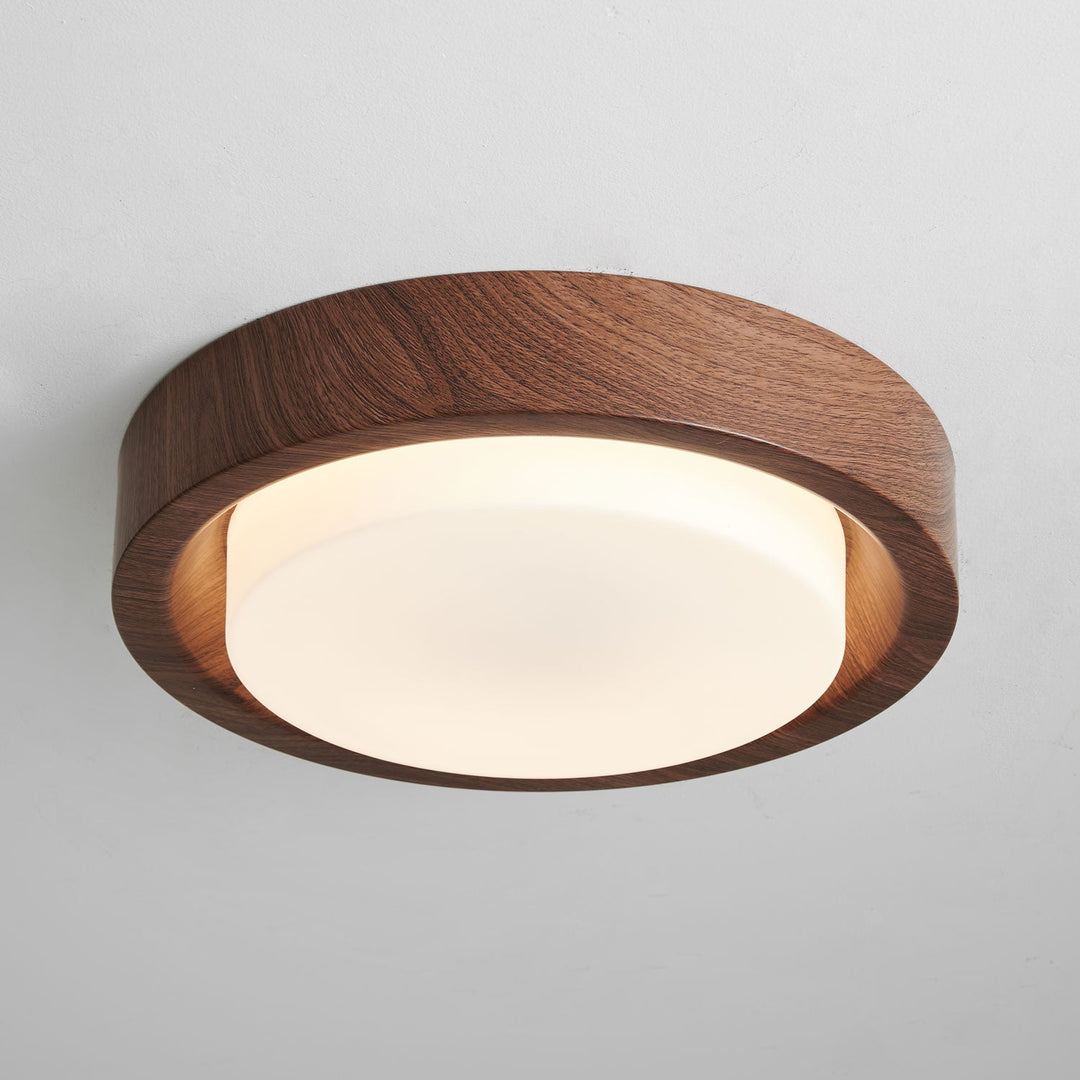 Lunar Ring Taklampa
