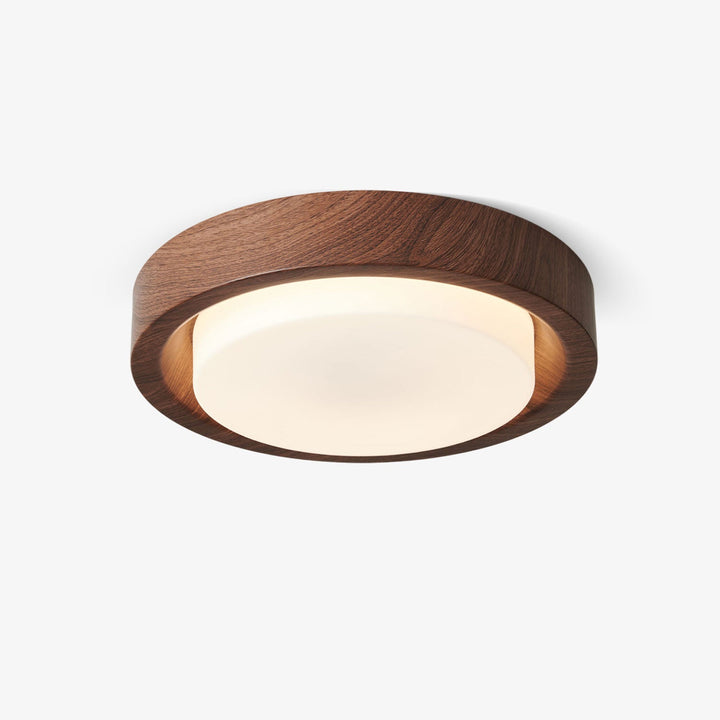 Lunar Ring Taklampa
