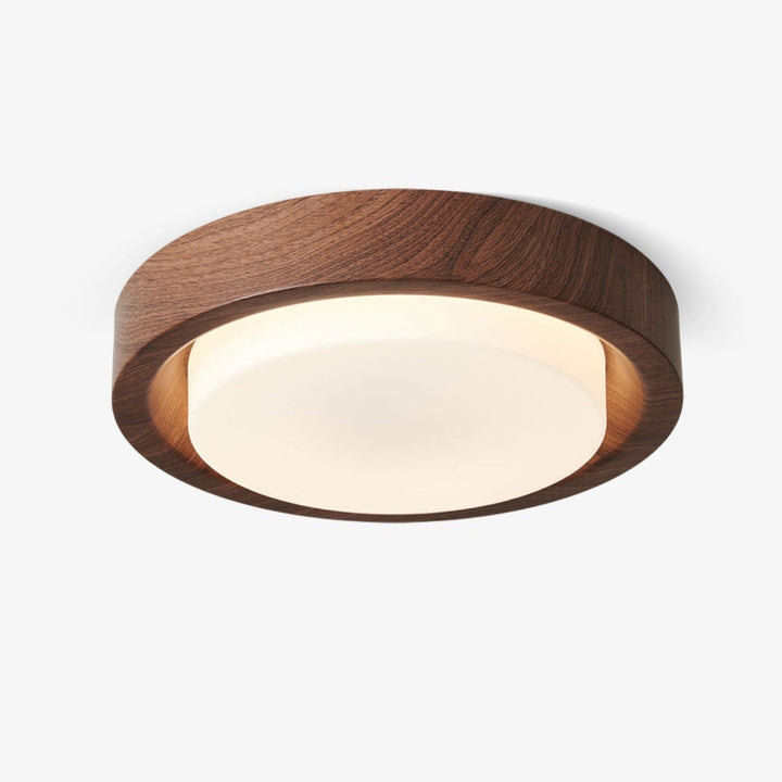 Lunar Ring Taklampa