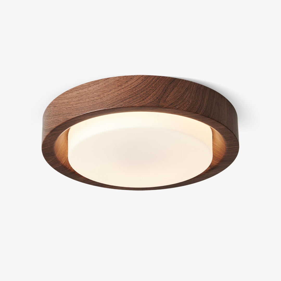 Lunar Ring Taklampa