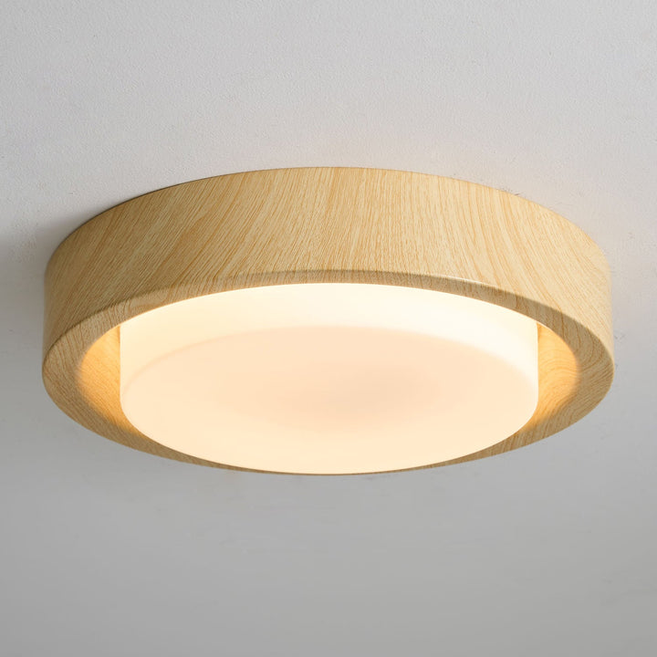 Lunar Ring Taklampa