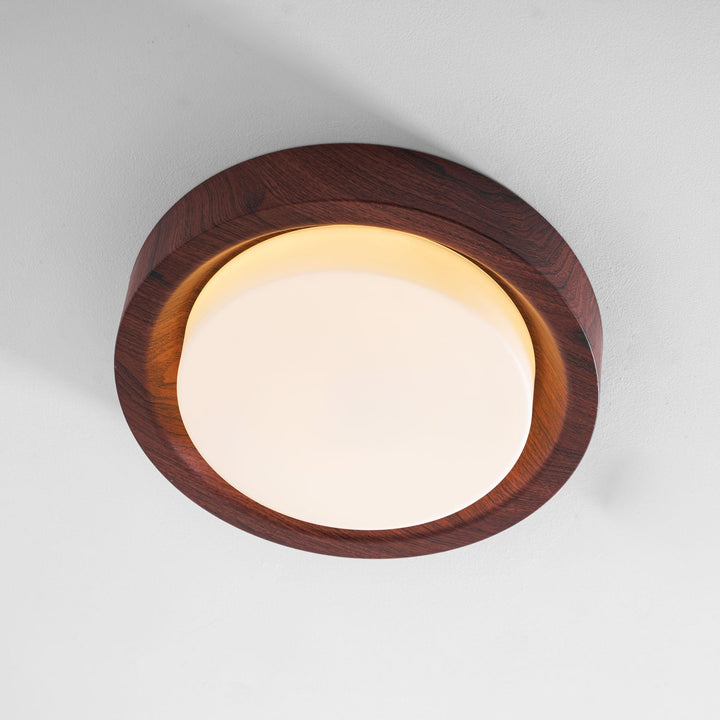 Lunar Ring Taklampa