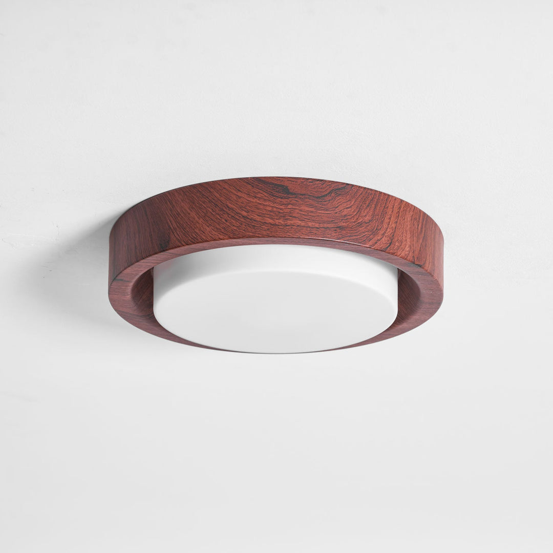 Lunar Ring Taklampa
