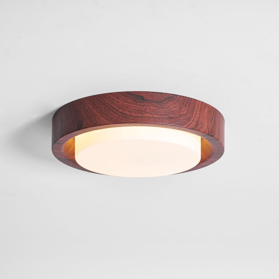 Lunar Ring Taklampa