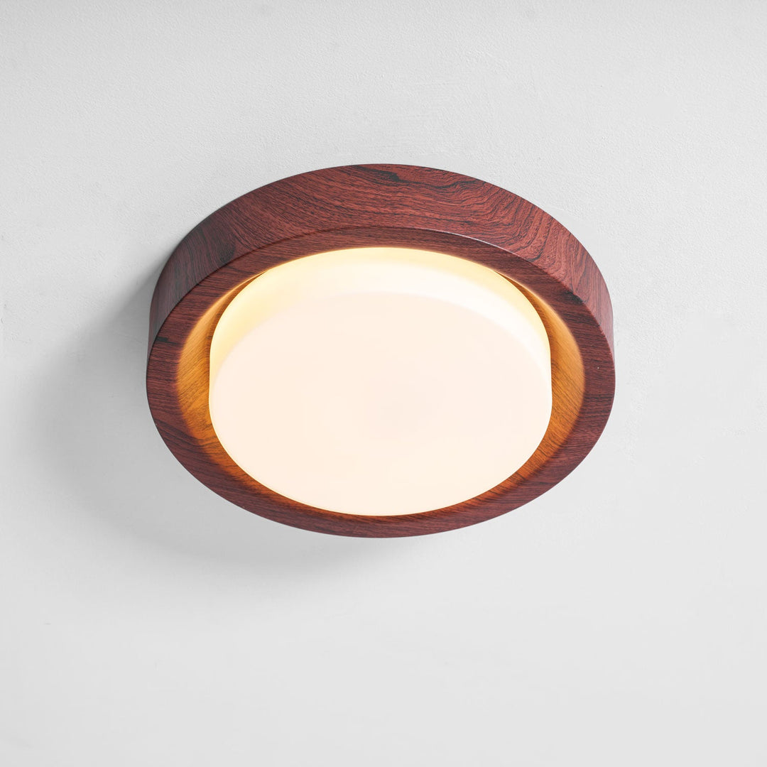 Lunar Ring Taklampa