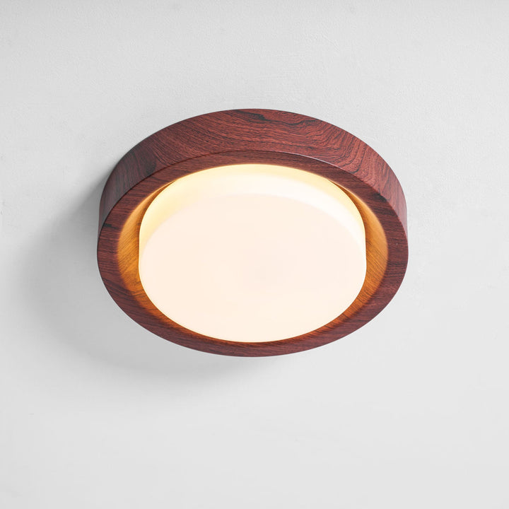 Lunar Ring Taklampa
